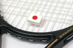 来月は日本戦！デビスカップ！