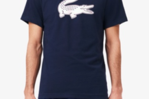 2026春夏 おすすめ テニスウェア ＃ラコステ #メンズ